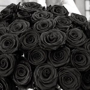 Meet your Posher, Beth